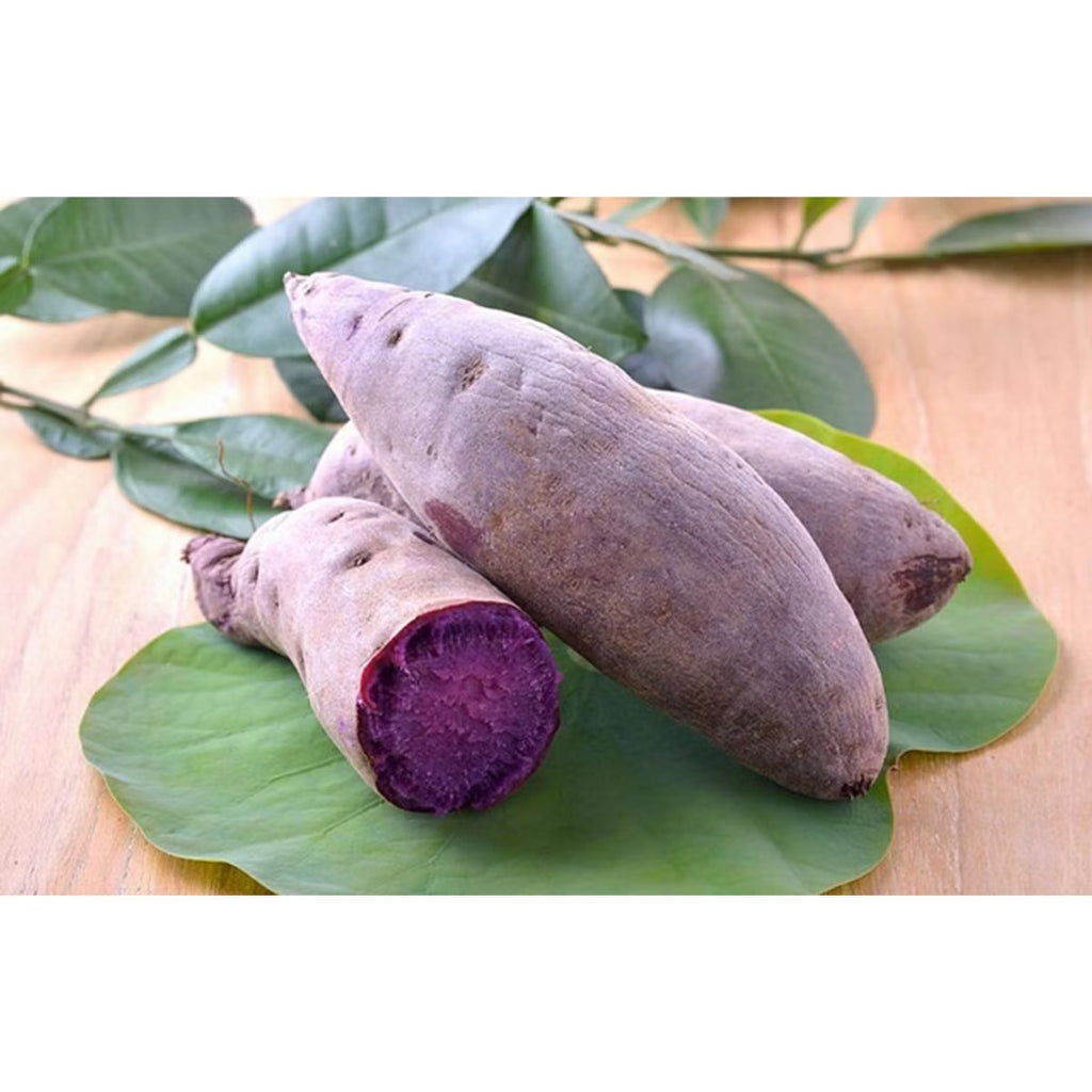 McCormick Ube Purple Yam Flavoring Extract 20 ml (Pack of 2)