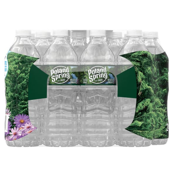 Poland Spring Maine Spring Water, 16.9 fl oz bottles (Pack of 24)