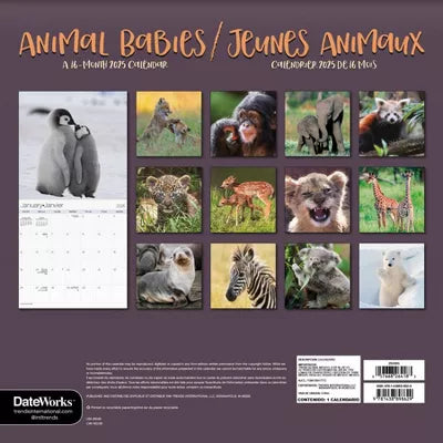 Calendrier mural bilingue français 2025 de Trends International sur les bébés animaux 