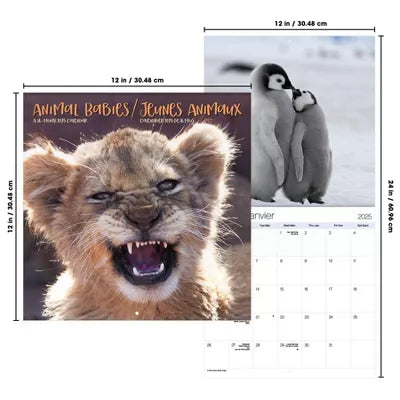 Calendrier mural bilingue français 2025 de Trends International sur les bébés animaux 