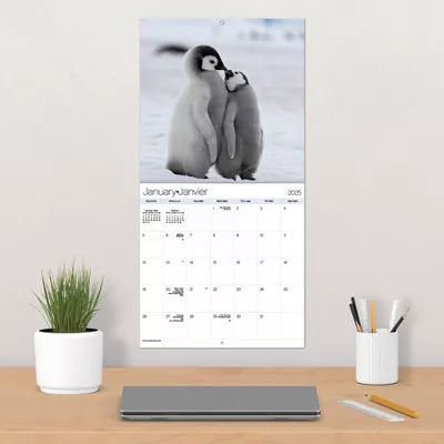 Calendrier mural bilingue français 2025 de Trends International sur les bébés animaux 
