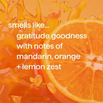 Method Gratitude Goodness Body Wash - Good Karma Limited Edition Collection - 18oz
